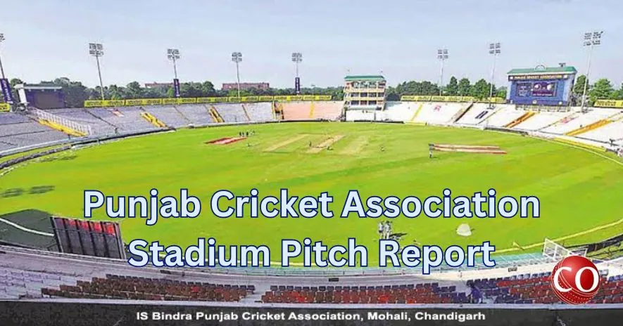 Punjab Cricket Association Stadium Pitch Report